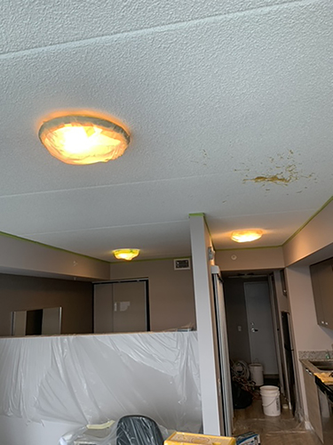 Popcorn Ceiling finished waterloo